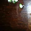Lea Mackey - @leam.333 - TikTok