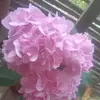 Lea Madrid - @lea.madrid1 - TikTok