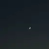 L - @lea.mandel - TikTok