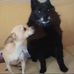 Lea Gillman Manning - Facebook