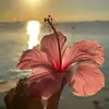 Lea Mayer - @lea.mayer1 - TikTok
