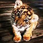 Lea Mayer - @lea.mayer648 - Instagram