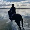 leahmcgrath66 - @leahmcgrath66 - TikTok