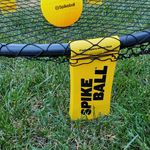 Leameadow Spikeball League - @leameadowspikeball - Instagram