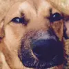 leamelendez07 - @leamelendez07 - TikTok