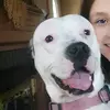 aaliyahnef26 - @leahneff26 - TikTok