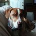 Lea Olson - Facebook