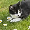 lea_ott24 - @lea_ott24 - TikTok
