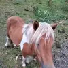 Lea Ott - @lea.ott5 - TikTok