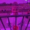 leah - @leah_ott23 - TikTok