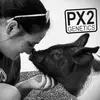 PX2 Genetics - @leaannperkins - TikTok