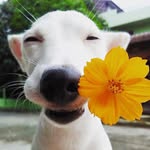 Just Leap - @leaper.nana - Instagram