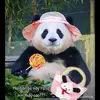 Lea Pham - @leapham08 - TikTok