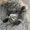 lea.phamm - @lea.phamm - TikTok