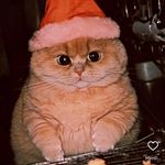 Léa-Marie Fortier-Pinel - @spill.the.lea - Instagram