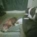 Leah Pitts - Facebook