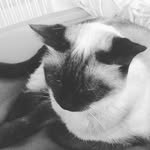 lelou - @lea.poulingue - Instagram