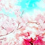 Lea Ramirez - @lea.ramirez.7528610 - Instagram