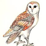 Corinne Lea-Rice - @corinnelearicestudio - Instagram