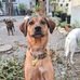 Leah Riggs - Facebook