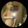 Lea Rivas - @learivas1 - TikTok