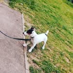Lea Roland - @learoland33 - Instagram