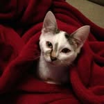 lele2505 - @lea.rosendorf - Instagram