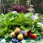 Lea Royal - @radicalrootssrq - Instagram
