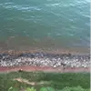 Leah Rush - @leah.rush8 - TikTok