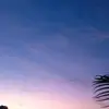 learush3 - @learush3 - TikTok