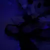 Leah DiSalvo - @leah.disalvo - TikTok