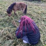 lea Schüler - @tierchen_von_lechen - Instagram