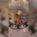 Lea Schüler - Facebook