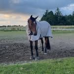 Lea Schultz Petersen - @l.s.petersen - Instagram