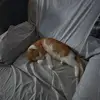 Leashea Ratermann - @leashea.ratermann42 - TikTok