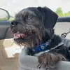 leah_shieldss - @leah_shieldss - TikTok