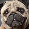 leah_slater - @leah_slater - TikTok