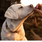 Lea Spencer - @splea0017 - Instagram