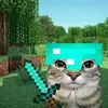 Mia - @lea._.swan - TikTok