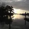leaframewhitman - @leaframewhitman - TikTok
