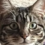 Lea Wilkins - @lea_wilkins - Instagram