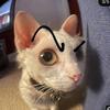 LeaWirth - @jaimejpgbkb - TikTok