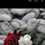 Lea Womack - @lea.womack.1238 - Instagram