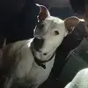 Womack Lea - @womack.lea - TikTok