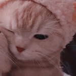 Анастейша ❤️‍🩹 - @leawuun - Instagram