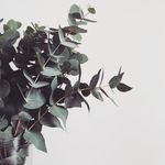 @leayoder28 - Instagram