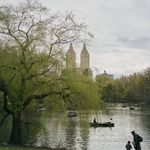 Léa Leyva | Social Media & Content Director | New York - @floraoverflora - Instagram