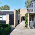 Ouse Lea, Modernist Estate, York - @ouselea_modernist - Instagram