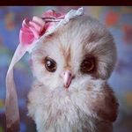 Lea Zaiter - @leazaiter188 - Instagram