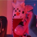 leah Aaronson - @leah_aaronson_ - Instagram